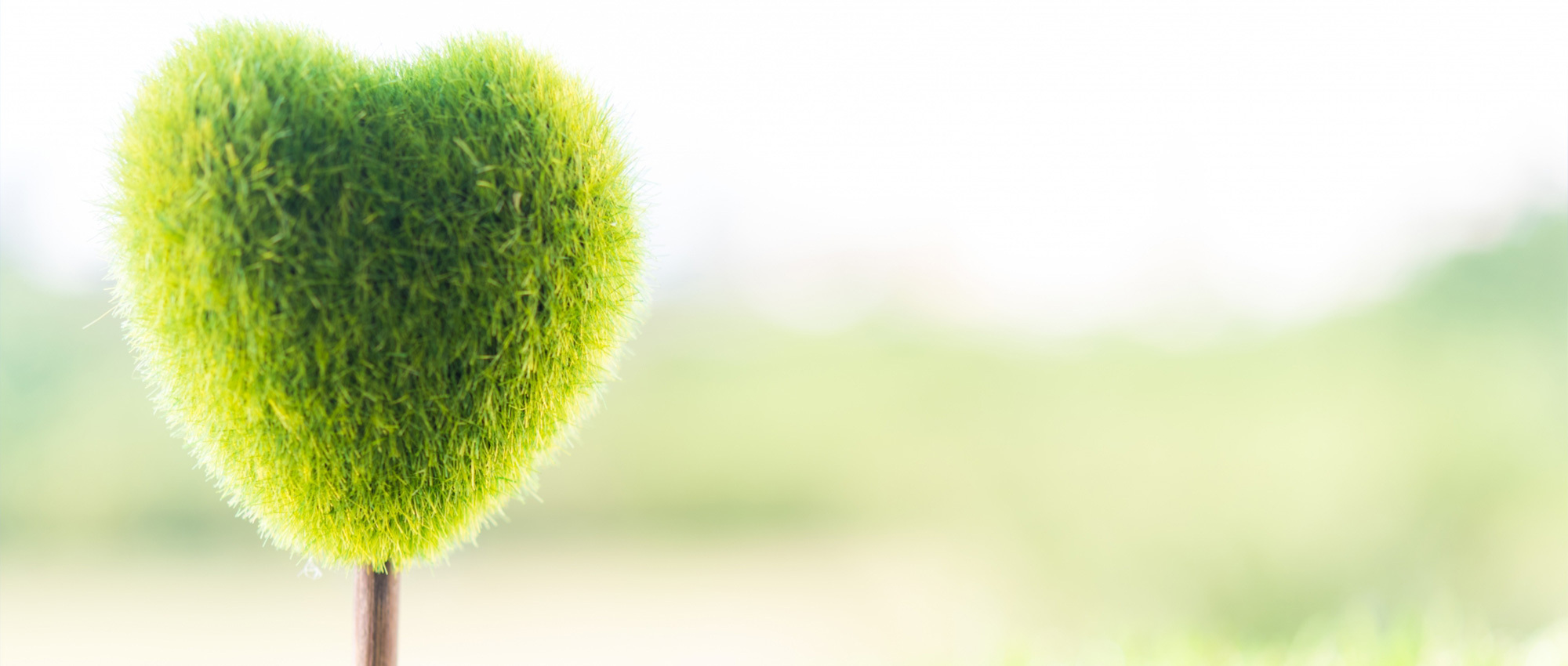 弘前市大字若葉、長四郎公園停留所、調剤薬局